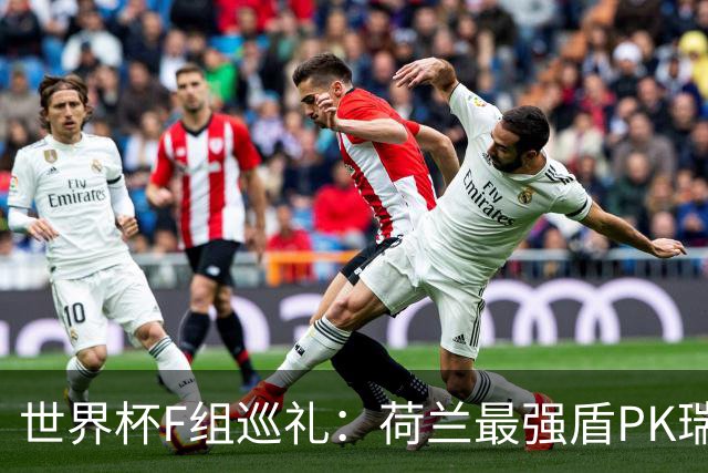 世界杯F组巡礼：荷兰最强盾PK瑞典犀利刀 日本短板明显